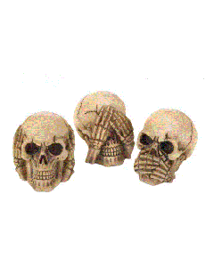 NO EVIL SKULLS